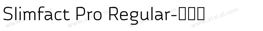 Slimfact Pro Regular字体转换